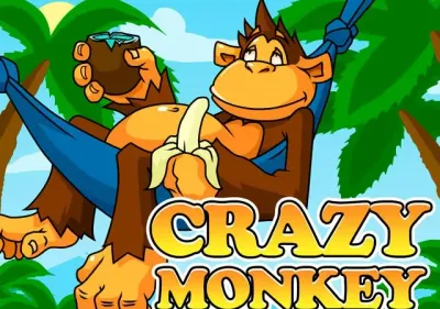 Crazy Monkey icon
